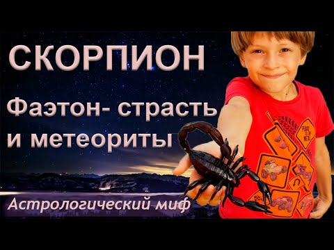 Video: Скорпион кандай түс менен мүнөздөлөт