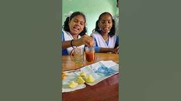 Acid, Base Indicator //Turmeric The Indicator