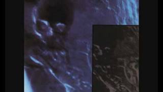 Video thumbnail of "Skinny Puppy - Assimilate"