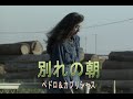 (カラオケ) 別れの朝 / ペドロ&カプリシャス
