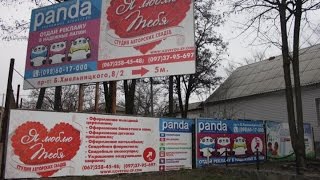 Оформление свадебного автомобиля зала банкетного выездной церемонии Мелитополь цены доступные цены Оформление свадебного автомобиля зала банкетного выездной церемонии Мелитополь цены доступные цены