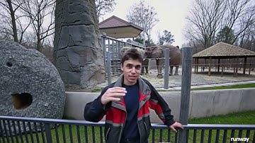 Me at the zoo | YouTube fast video