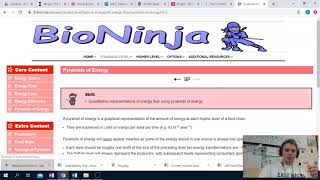 IB Bio 4 2 Lecture Energy Flow