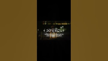 سورة الجاثية اية-٢٤