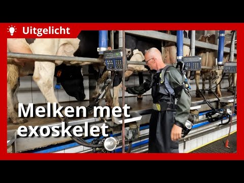 Miniatuur van productvideo