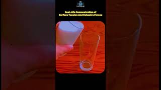 Surface Tension in Action 🌊 | Real-Life Demo of Cohesive Forces #physics #science #shorts