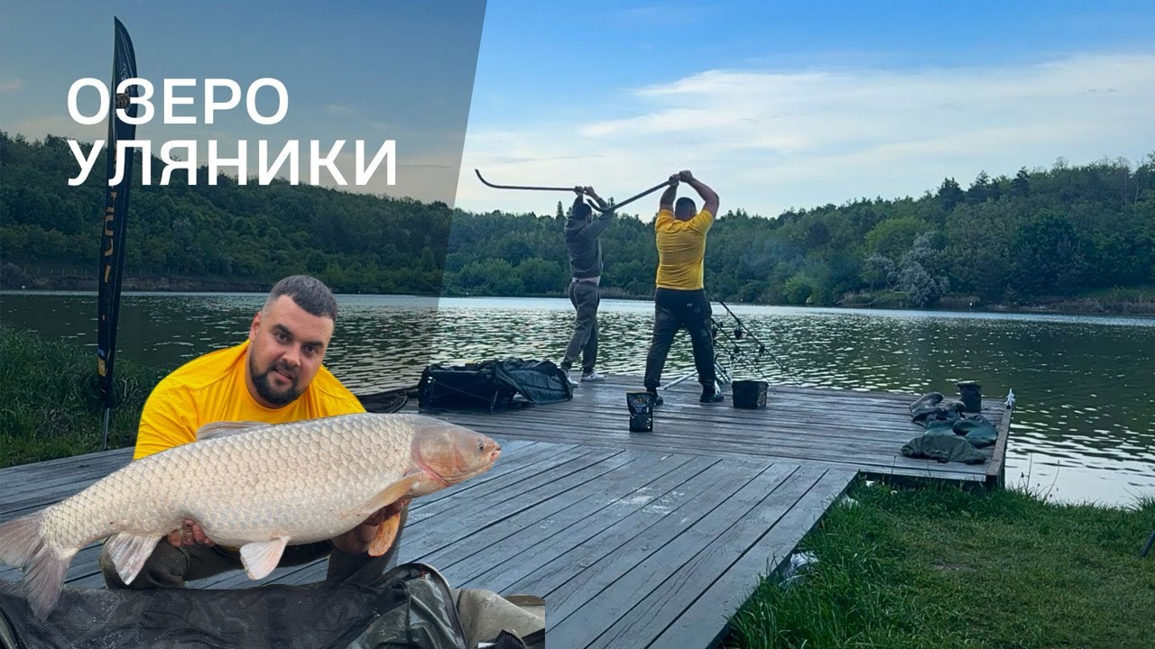 Як зловити коропа 20+ кг /  Уляники / Нічний монстр клюнув на бойл / Нові палки Sportex