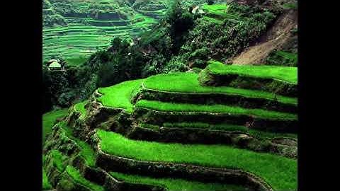 تلاوة خاشعة مبكية للشيخ هانى الرفاعى من سورة الحجر