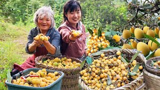 This year's online market has begun! The loquat on the jack was robbed of space in an instant  and by 燕麦行游 14,643 views 7 days ago 10 minutes, 8 seconds