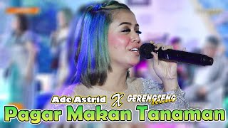 PAGAR MAKAN TANAMAN - ADE ASTRID | GERENGSENG TEAM LIVE SHOW PANGALENGAN