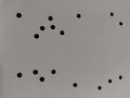 Stop Motion Boing