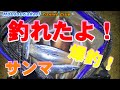 【北海道】　オホーツク　サンマ爆釣？　初めてサンマ釣りました！