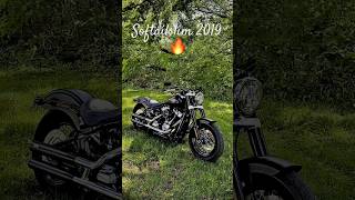H-D softailslim style #harleydavidson #harleylife #harleylovers #bikelife #softail #softailslim