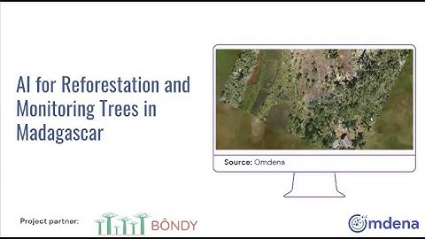 Tree Detection for Reforestation in Madagascar Using Satellite Imagery