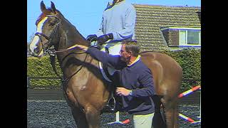 TIM STOCKDALE • LAYING A FOUNDATION FOR SHOW JUMPING