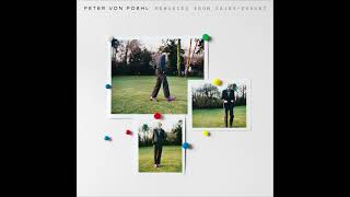Peter von Poehl - I Miss My Old Grey Skies (Official Audio)