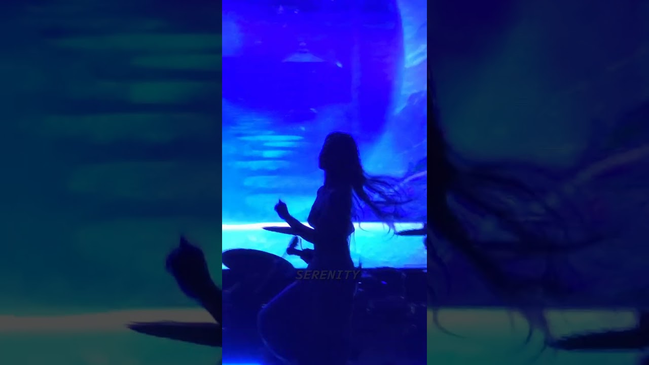 250925 숭실대 나띠 Igloo + Sticky