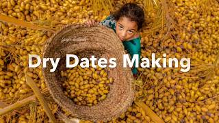 Village Style Dry Dates making || gulf khajoor Dates || Indian Dry dates Making Process