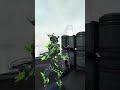 I laughed too much and paid for it ahaha | #nanaei_owo on #Twitch