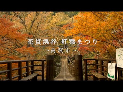 4k 14 花貫渓谷 紅葉まつり Autumn Leaves Of Japan In 4k Youtube