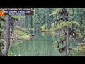🍁Canadian Rockies🍁I Moose Encounter at Moose Lake in Jasper National Park #moose #wildlife