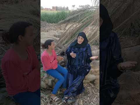 الحاجه نبيله بيتحفظ بنت بنها يا خضر يا ورق التوت