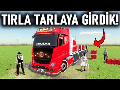 TIRA TARLADA DOMATES YÜKLEDİK! MODİFİYELİ TIR FS 22 18.Bölüm Logitech G29