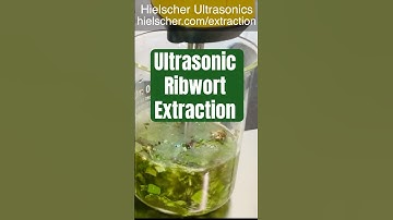 Ultrasonic Extraction of Ribwort using the Sonicator UP200Ht