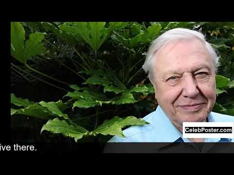Video: Richard Attenborough Net Worth
