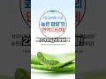 피부랑 면역, 둘 다 챙기고 싶다면? 톡톡 터지는 샤인머스켓🍇 #다이소살림템