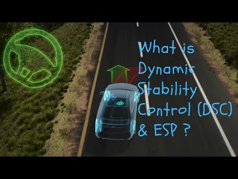 What is Dynamic