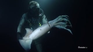 Stalking the Aggressive Humboldt Squid | Descending