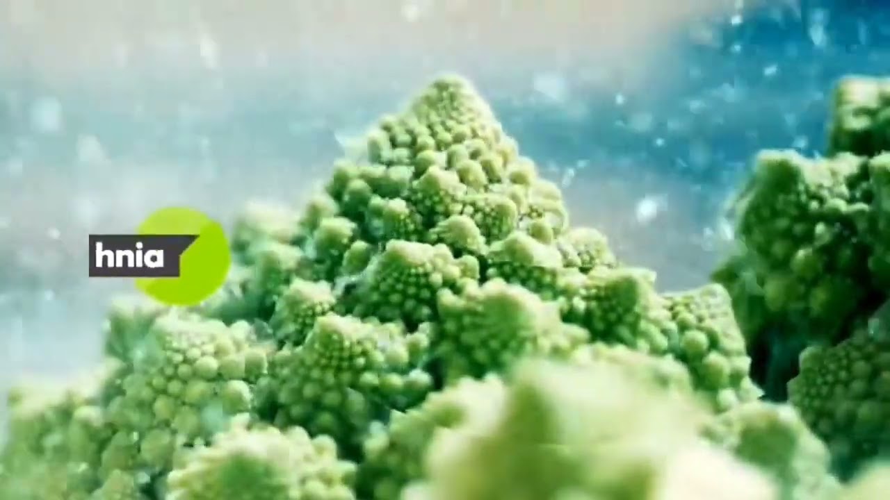 kuchnia+ identy od tyłu 2014-2021