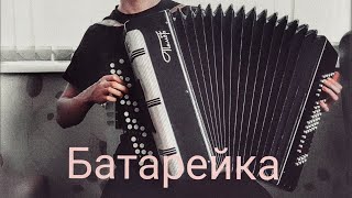 Жуки &quot;Батарейка&quot; на баяне