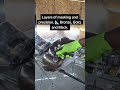 Painting a Custom Valkyrie bike!