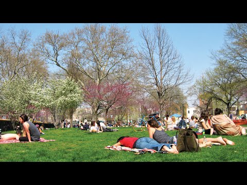 Video: Swimming Pool sa Williamsburg at Greenpoint