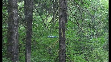 Skydio 2 Drone Obstacle Avoidance Flying in Trees