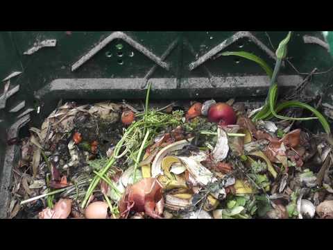 Video: Pozzo Del Compost (24 Foto): Come Farlo Nel Paese Con Le Tue Mani, Producendo Utilizzando La Tecnologia Finlandese E Altre Opzioni. Cos'è?