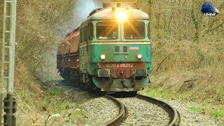 LDE2100 60-1372-1 & Mecanic Super Engineer in Defileul Crișului Repede Canyon - 22 March 2020