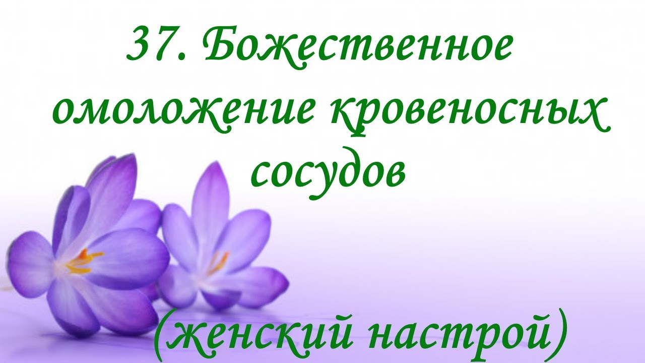 Сытин настрои для женщин омоложение. Божественное омоложение. Божественные настрои Сытина. Сытин настрои омоложение. Настрои Сытина для сердца и сосудов женщин на оздоровление.