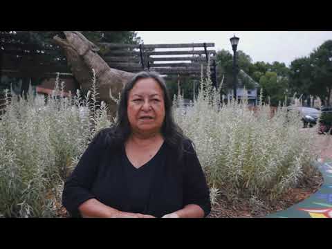Video: Sage-oogstgids: leer hoe en wanneer je salieblaadjes moet plukken