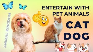 Entertaining and Amusing Video Featuring Pets ||हँसना मत #funnypets #funny #cat #dog #shorts #short