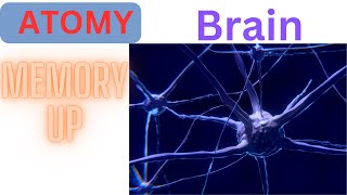 Smart Memory Up Propeller Of The Brain Atomy