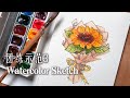 贝大大免费水彩团练3向日葵示范-Watercolor Sketch Practice3