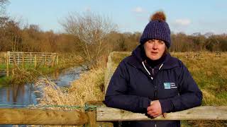 Visit RSPB Portmore Lough Reserve and Montiaghs Moss