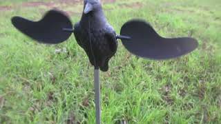Michigan Crow Hunt with Doug and Glen