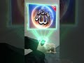 i love allah #islamicvideo #loveallah #loveislam #youtubeshorts #shorts