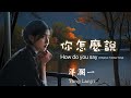 你怎麼說 洋瀾一 版 原唱 鄧麗君Teresa Teng テレサ テン 你說過兩天來看我 一等就是一年多 聽了心都酥麻了 動態歌詞MV Lyrics 日本語訳 Eng Sub