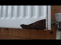 Can Leaks in central heating radiators be fixed?