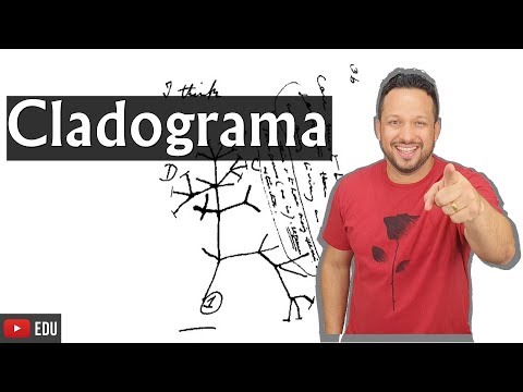 Vídeo: O que é um cladograma de árvore filogenética?